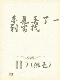 梦见丢了一只鞋到处找