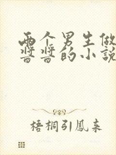 两个男生做酿酿酱酱的小说