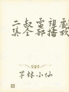 二叔电视剧40集全部播放