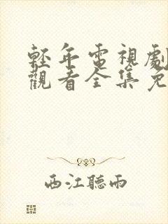 轻年电视剧在线观看全集免费