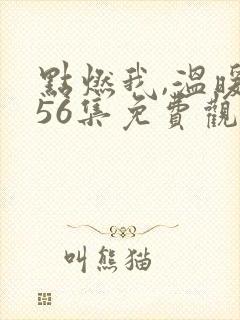 点燃我,温暖你56集免费观看