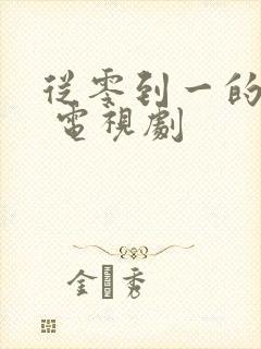 从零到一的爱情 电视剧封面