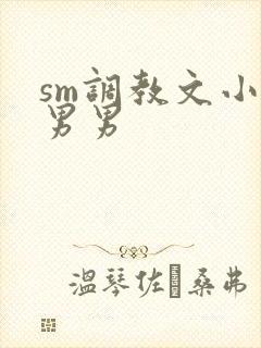 sm调教文小说男男