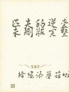 匹夫的逆袭小说未删版完整