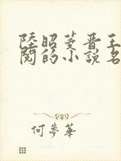 陆昭菱晋王周时阅的小说名