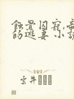 蚀骨囚宠,帝少的逃妻 小说封面