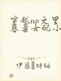 穿越np文里的恶毒女配小说