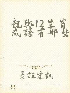龙与12生肖的成语有哪些