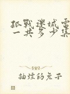 孤战迷城电视剧一共多少集