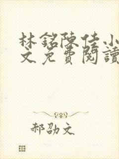 林铭陈佳小说全文免费阅读最新章节封面