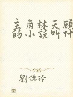 主角林天顾悦瑶的小说叫什么封面