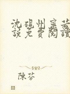 沈砚州宁若曦小说免费阅读封面