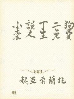 小说丁二狗的逆袭人生免费阅读封面