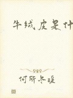 牛绒皮是什么皮