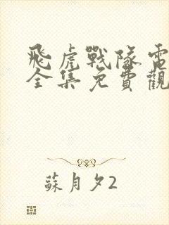 飞虎战队电视剧全集免费观看封面