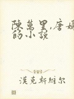 陈万里,唐嫣然的小说