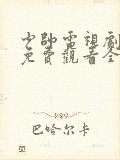 少帅电视剧超清免费观看全集在线播放