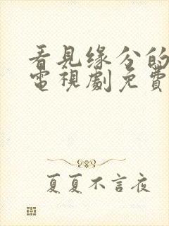 看见缘分的少女电视剧免费观看全集