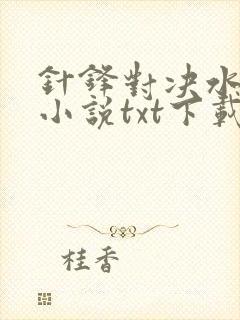 针锋对决水千丞小说txt下载封面