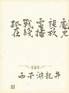 孤战电视剧全集在线播放免费高清