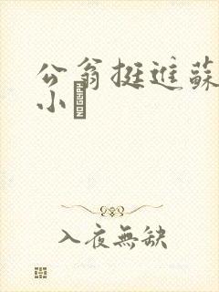 公翁挺进苏玥的小泬