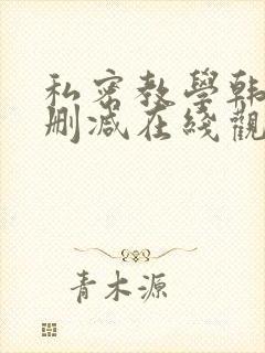 私密教学韩漫无删减在线观看