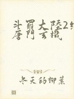 斗罗大陆2绝世唐门玄机封面