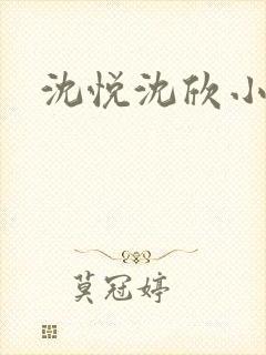 沈悦沈欣小说封面