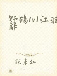 野鹤1v1江淮辞封面