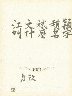 江文斌赵颖小说叫什么名字啊