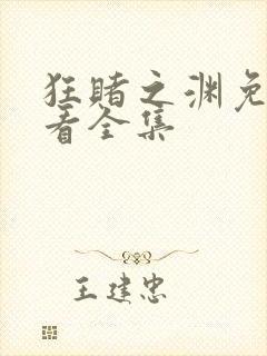 狂赌之渊免费观看全集