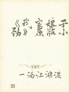 《我家娘子不对劲》原版小说