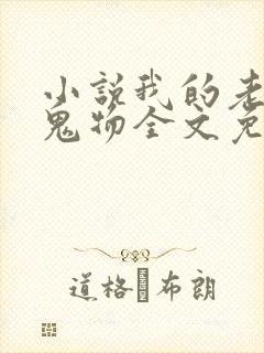 小说我的老公是鬼物全文免费阅读