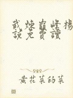 武炼巅峰杨开小说免费读