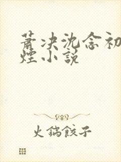 萧决沈念初柳如烟小说