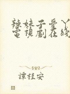 辣妹子爱丫爱丫电视剧在线播放封面