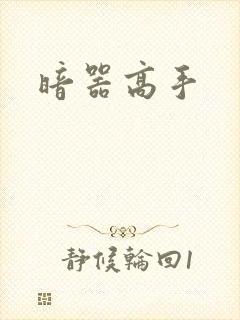 暗器高手封面