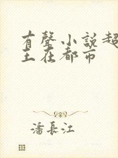 有声小说超级兵王在都市