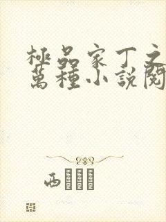 极品家丁之风情万种小说阅读无弹窗