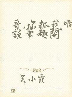 哥,你抓我啊小说笔趣阁