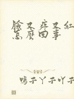 脸又疼又红肿痒怎么回事