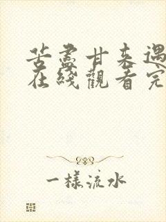 苦尽甘来遇见你在线观看完整版