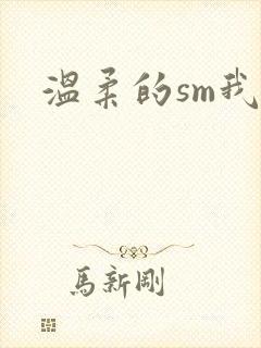 温柔的sm我