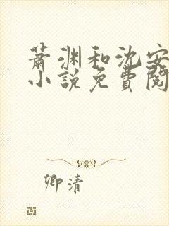 萧渊和沈安安的小说免费阅读