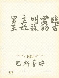 男主叫君临渊女主姓苏的古言小说封面