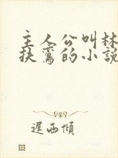 主人公叫林辰柳扶鸾的小说