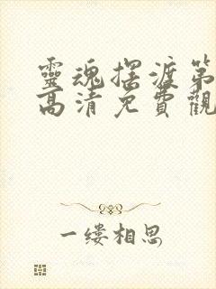 灵魂摆渡第4季高清免费观看