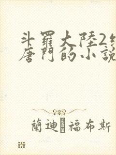 斗罗大陆2绝世唐门的小说封面