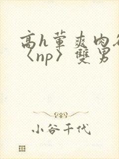 高h荤爽肉欲文〈np〉双男