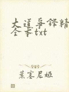 大道争锋精校版全本txt封面